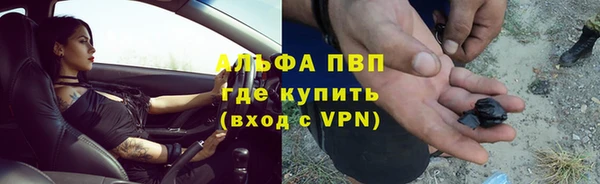 ПСИЛОЦИБИНОВЫЕ ГРИБЫ Белокуриха