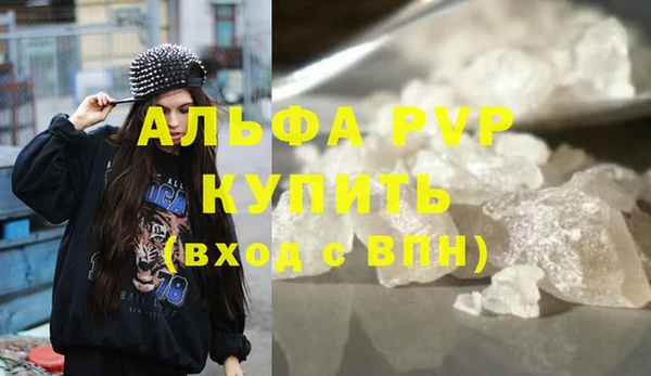 молекула духа Гатчина